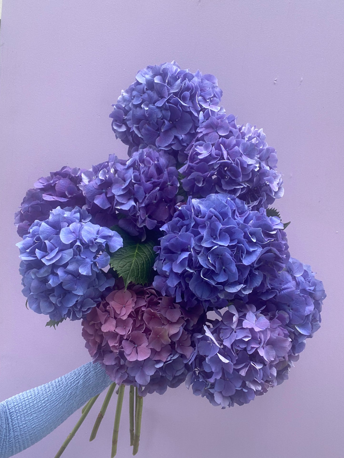 Seasonal Hydrangea Bouquet