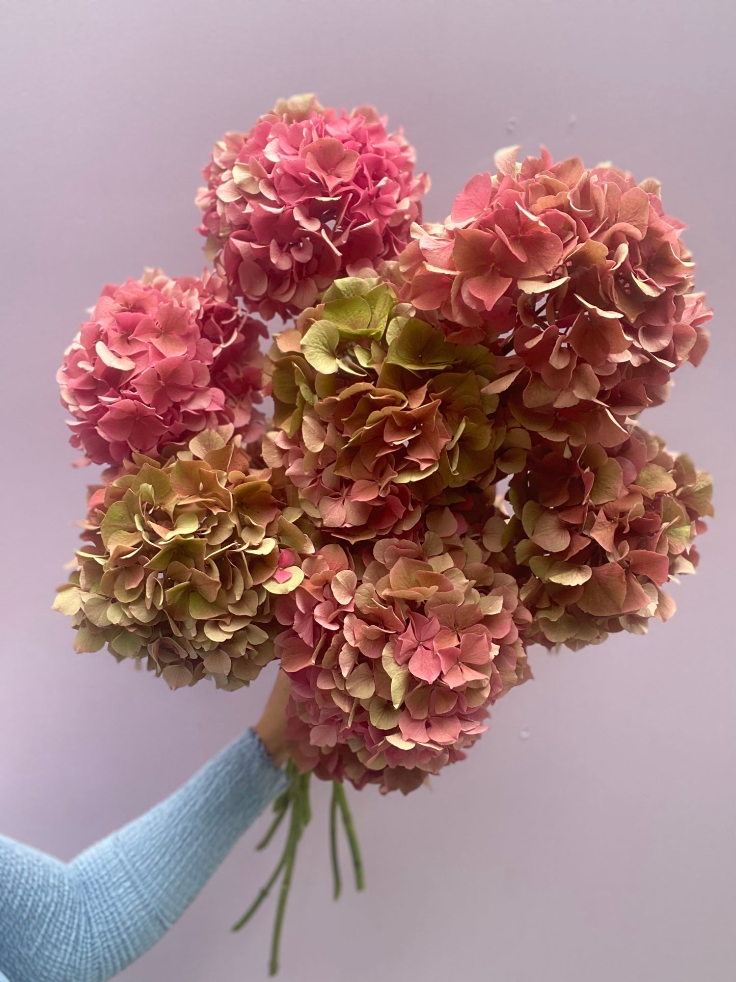 Seasonal Hydrangea Bouquet